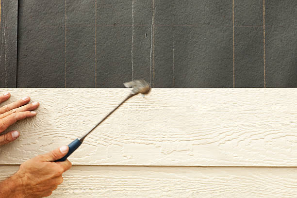 Best Stucco Siding  in Eastpointe, MI